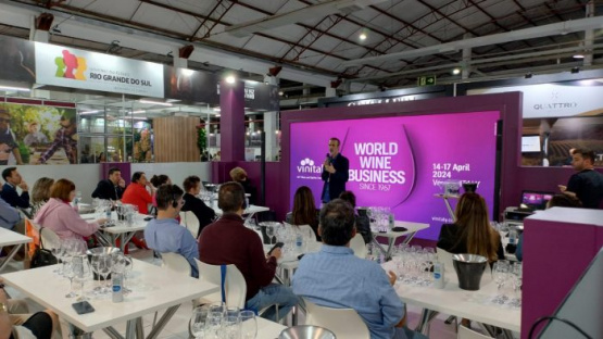 Convocan a empresas de Mendoza a participar en Wine South America 2024